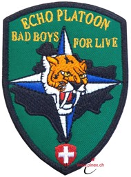 Bild von KFOR Echo Platoon Schweizer Armee Einsatz "Bad Boys for live" Abzeichen mit Klett